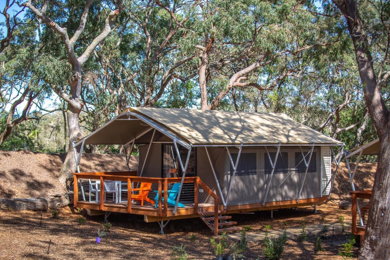Port Stephens Koala Sanctuary Hotel One Mile Exterior photo