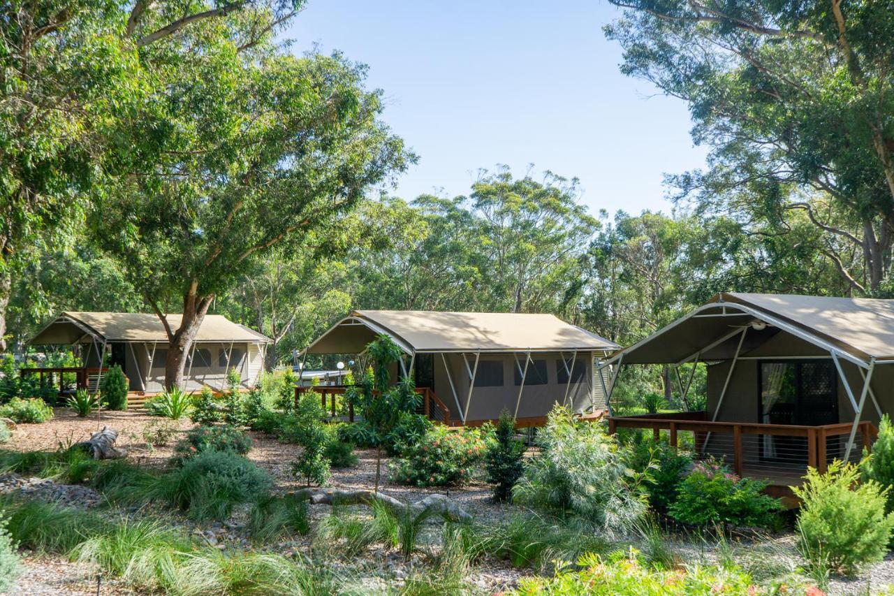Port Stephens Koala Sanctuary Hotel One Mile Exterior photo