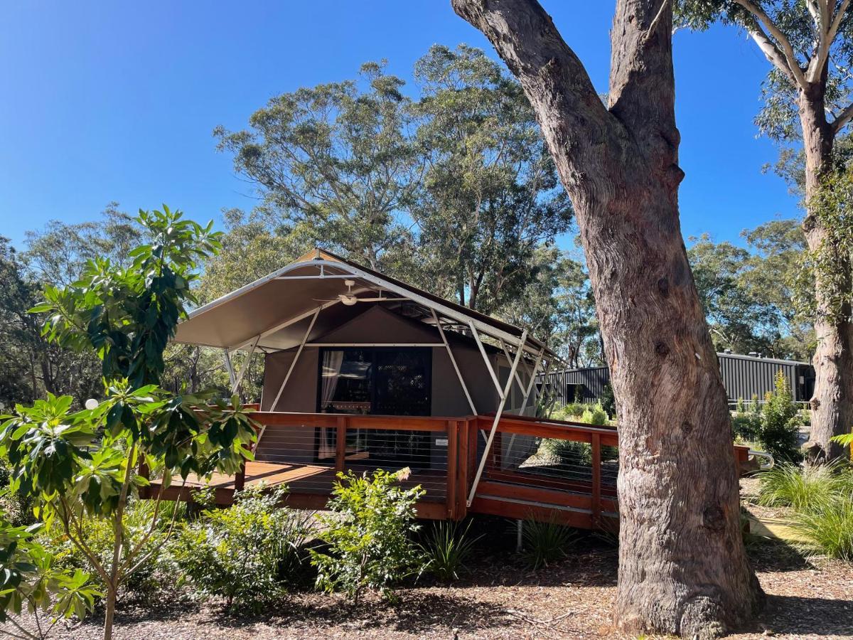 Port Stephens Koala Sanctuary Hotel One Mile Exterior photo